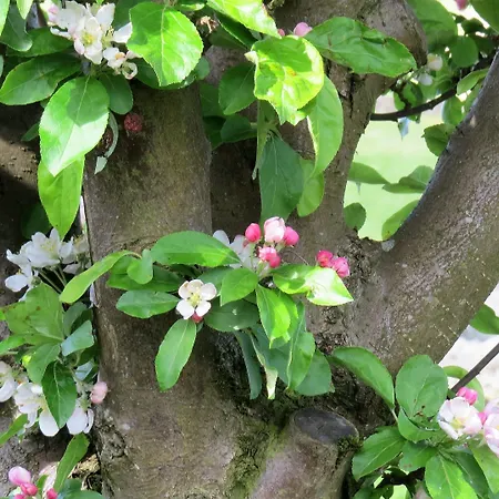 Eastview Bed and Breakfast 4*