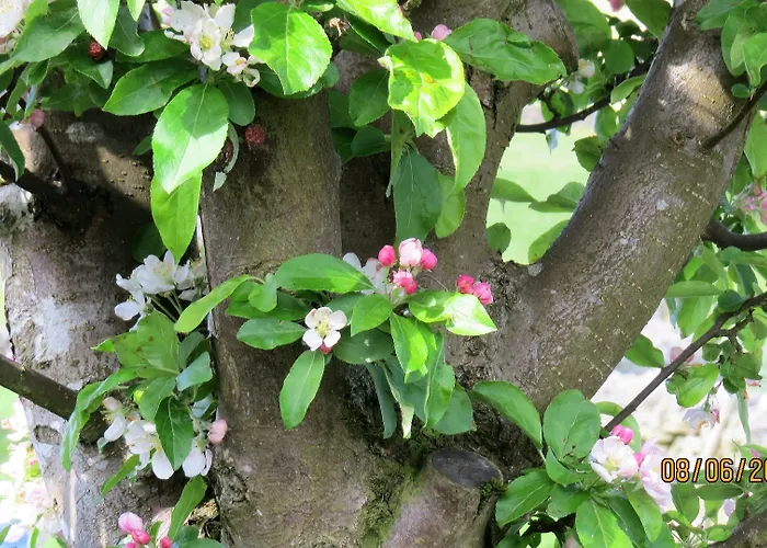 Eastview Bed & Breakfast 4*